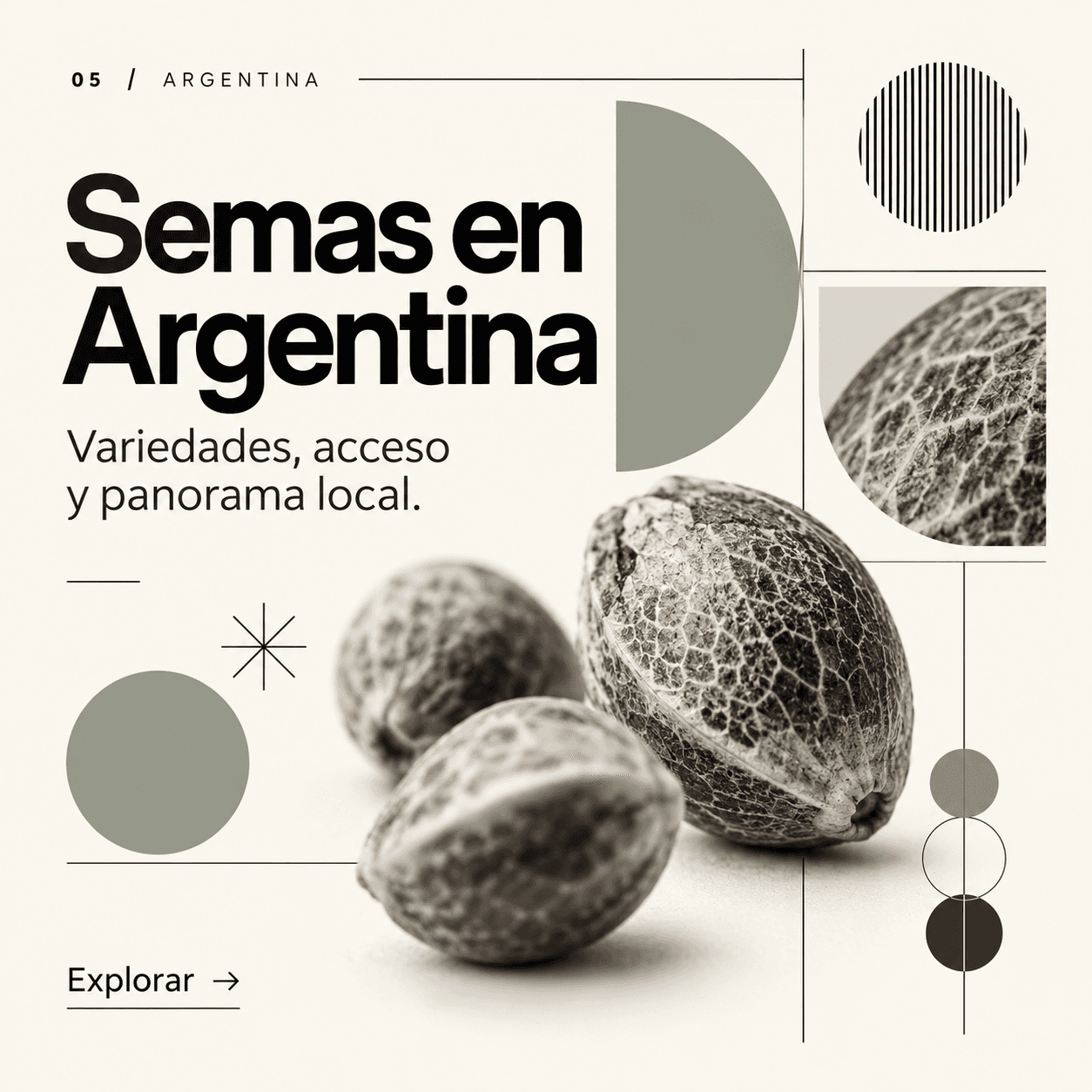 Pieza editorial sobre bancos de semillas de cannabis en Argentina