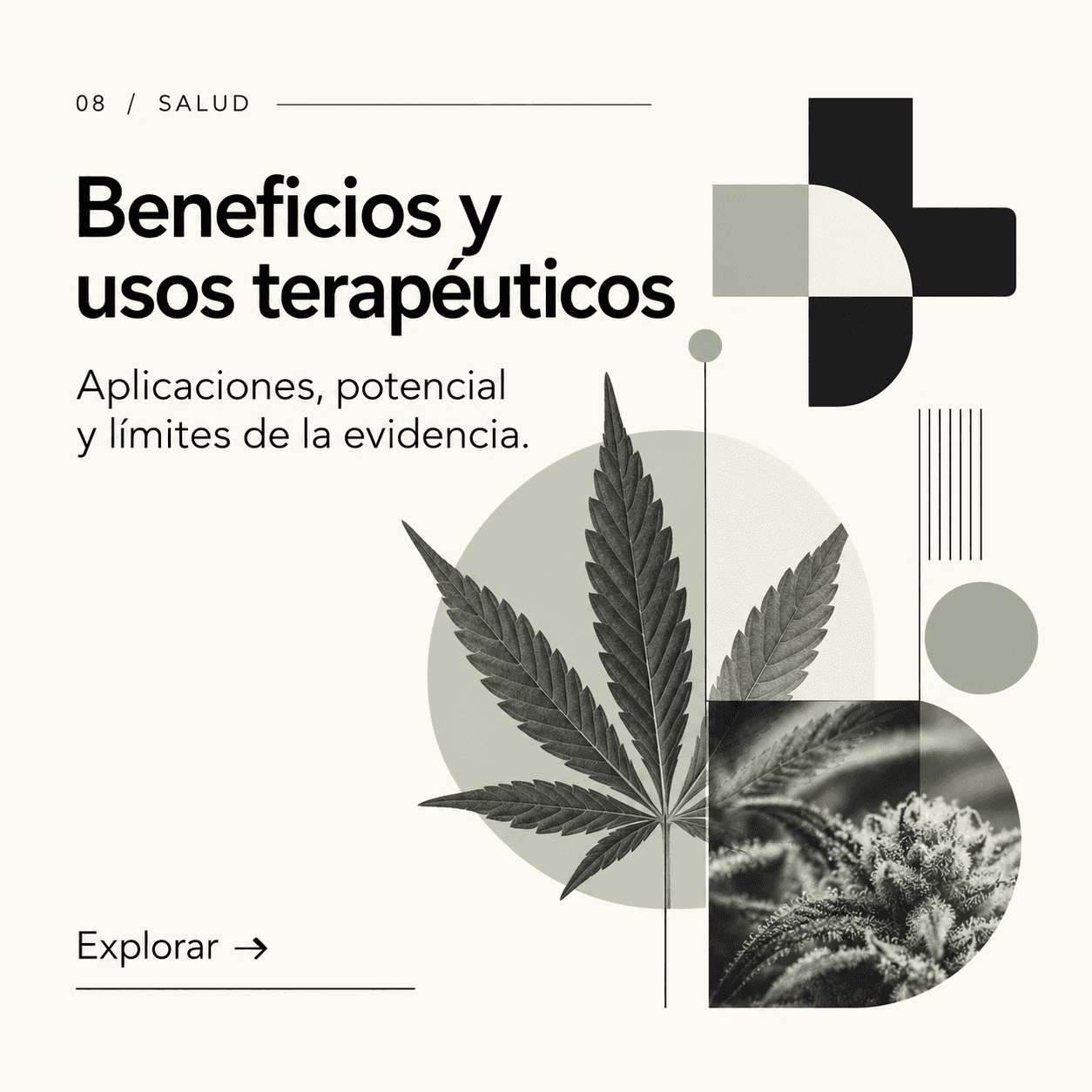 Pieza editorial sobre beneficios y usos terapéuticos del cannabis